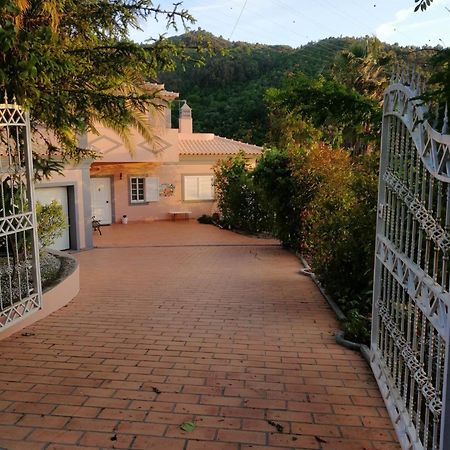 Casa Loureiro - Vista Rio Douro Villa Resende Exterior photo