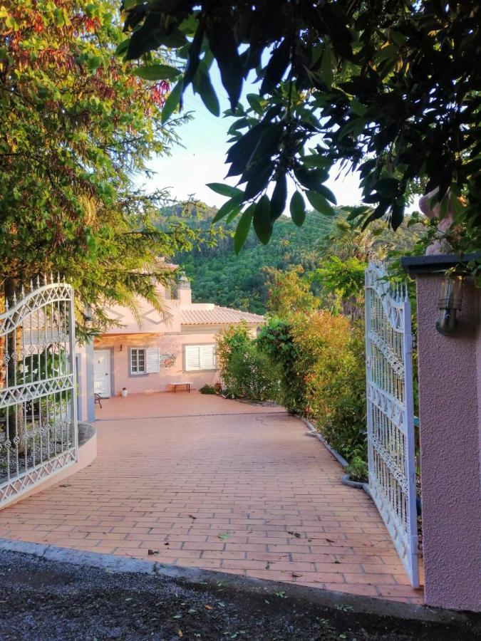 Casa Loureiro - Vista Rio Douro Villa Resende Exterior photo