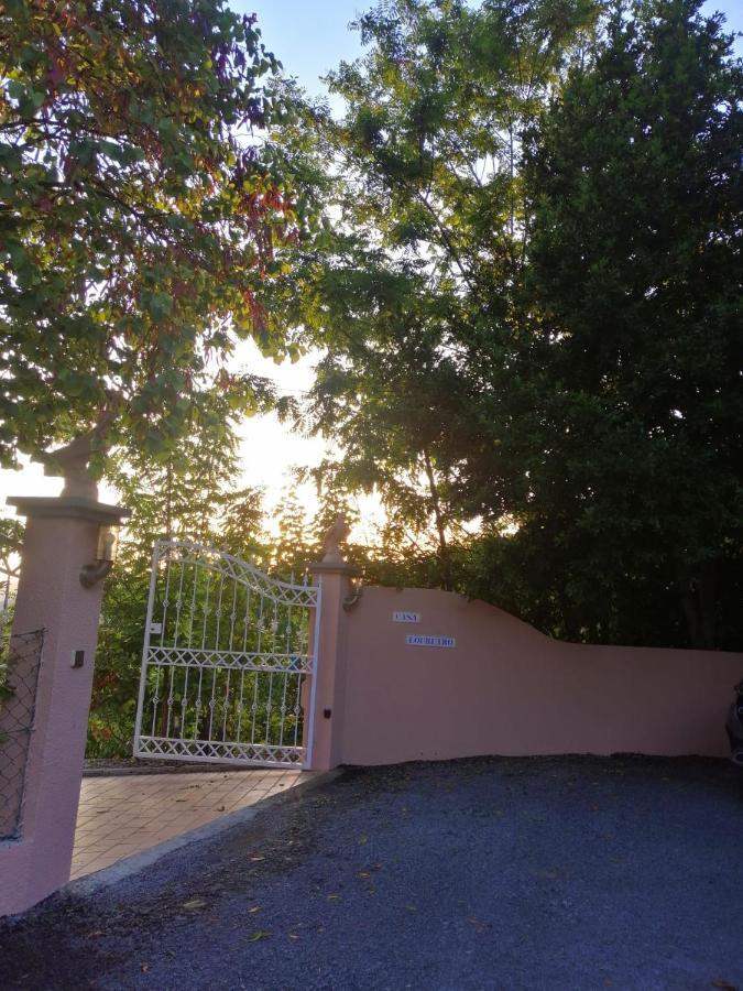 Casa Loureiro - Vista Rio Douro Villa Resende Exterior photo